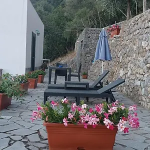 Le Finestre Di Apartment